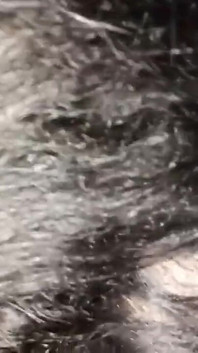 Netu cavalca un dildo bianco desi e si infila nella figa
