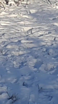 Mă masturbez riscant într-un parc pe People