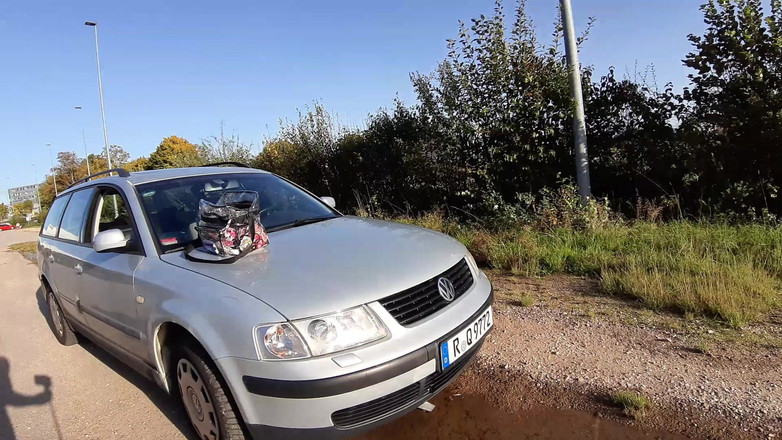 sweetfeet29: Sunny by the Car