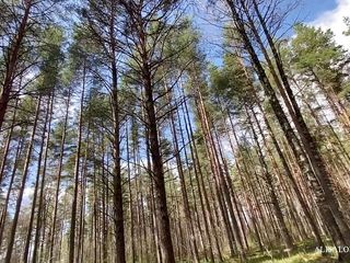 Alisa Lovely: Він сильно трахав мене під час поїздки прямо в машині на відкритому повітрі