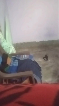 Bangla Sex Романтический секс с большими сиськами большой задницей большой местный секс бойфренда подруги секс утренний секс индийской девушки, секс девушки дези, секс