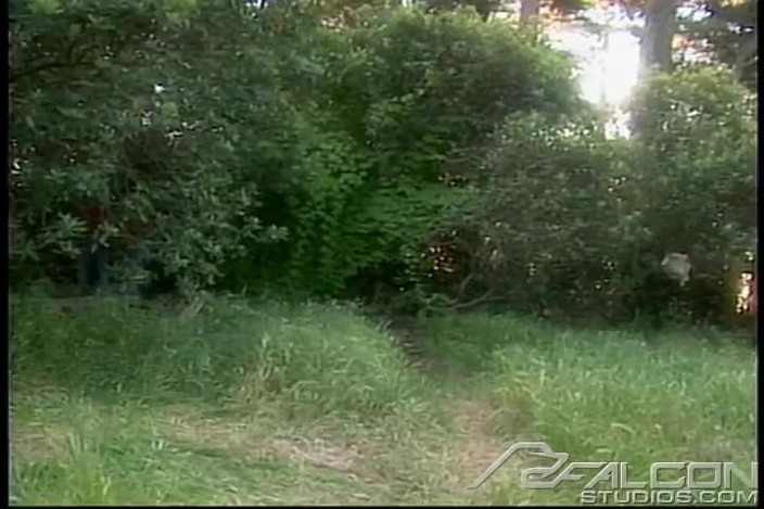 Falcon Studios: Крузин' 3