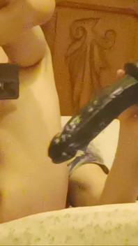 Zwei dildos