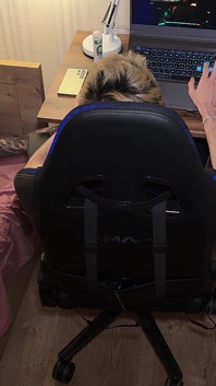 Den typen vom spiel abgelenkt und verführt ihn zum sex, saftiger blowjob, tiefe kehle teil 1