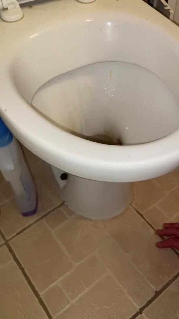 Elena917: Pissing and cleaning the toilet with my tongue