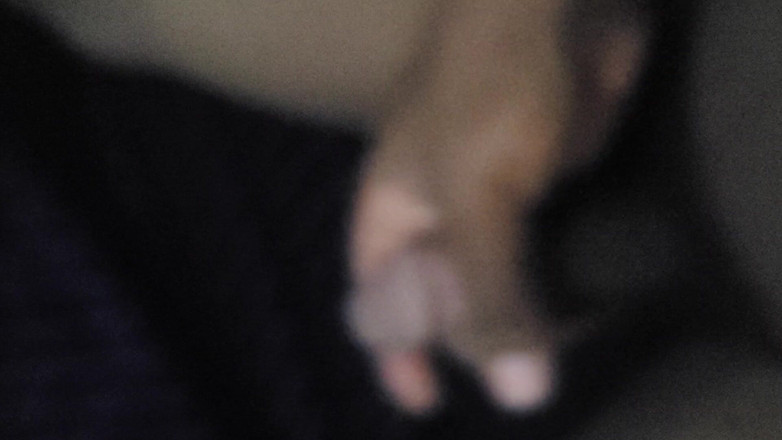 Martin55778: První skončování