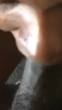 She Slurps Dick Until It Cum on Her Face!!!pt.1