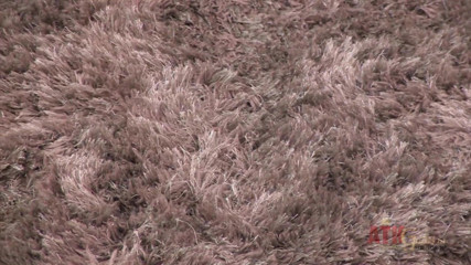 ATKIngdom Fans: Manual stimulation on the carpet