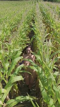 Corn Field Naked Run