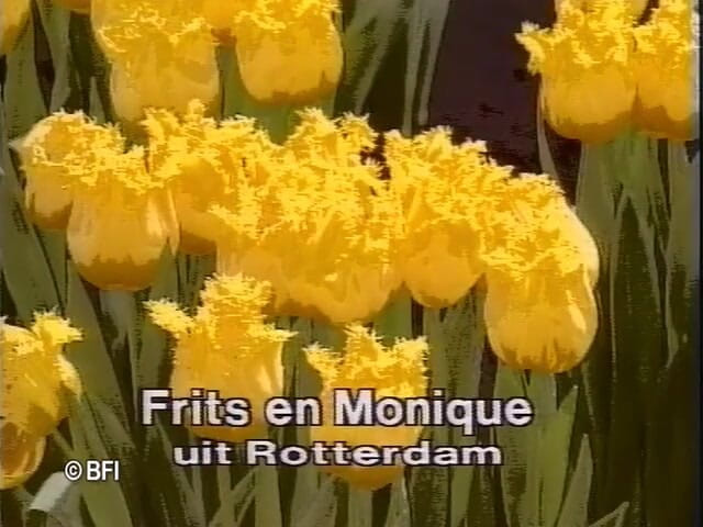 Dutch Desire Nights: Made in Holland 2 DVD