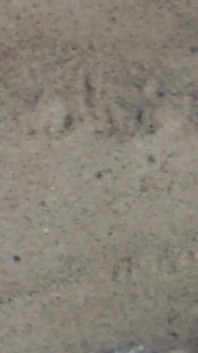 Jen Shows up Her Naked Feet in the Sand