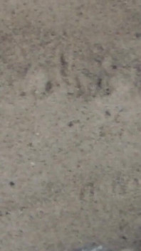 Jen Shows up Her Naked Feet in the Sand