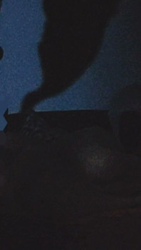 Zezadu během horkých letních nocí