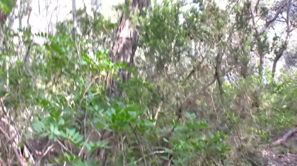 Amaspain: Girl in the woods waiting anxiously for her partner's sperm