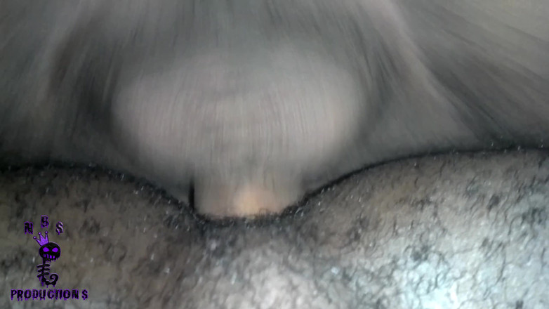 NB Topper: 흑인 육종가 113