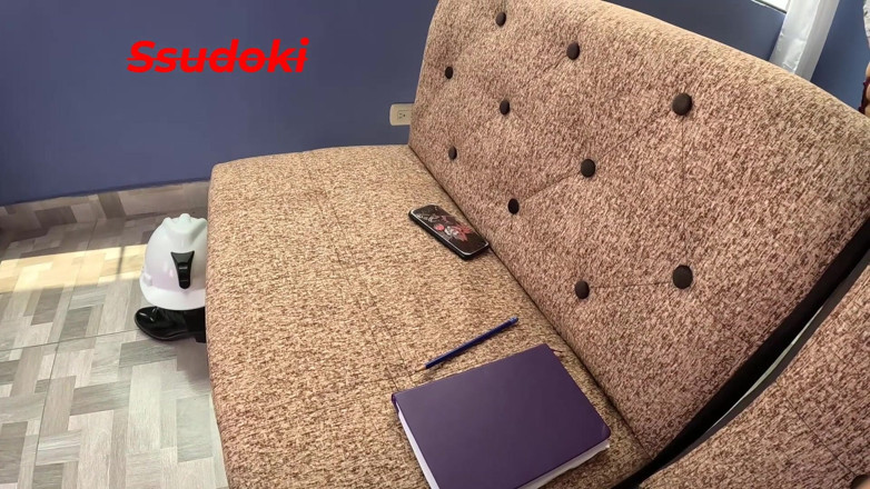 Ssudoki: Inginerul a venit să reexamineze planurile. dar am ajuns să...