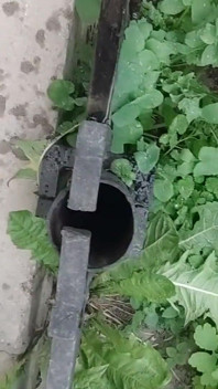 Girl Peeing Twice for Free