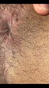 Do You Like My Ass?