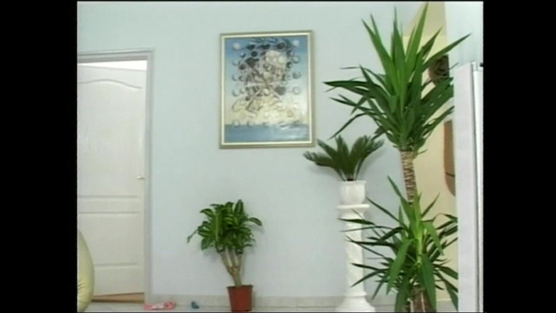 Full Movie XXX: Een wilde bloem