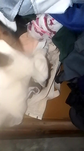 Jaanu294: Seluar dalam adik tiri saya