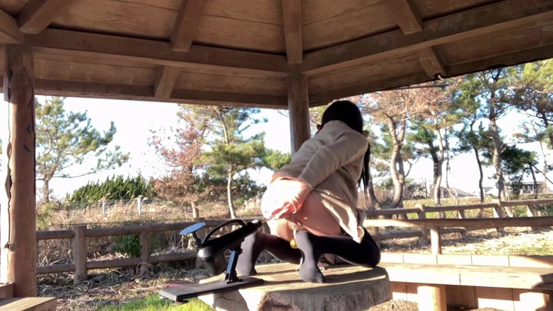 megu2002: 자기 훈련 No. 74: 해변에서 섹스 머신