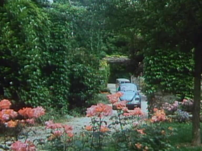 Java Consulting: Doggy style poolside klassiker! (första scen, 8m26)