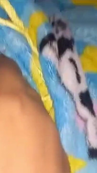 Early Morning Anal