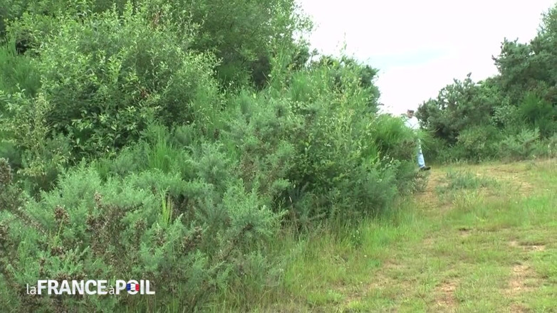 Girls Bang: Un cuplu tânăr care face sex anal în aer liber