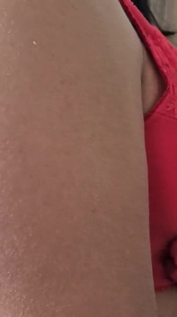 D Cup Red Lace Big Bra