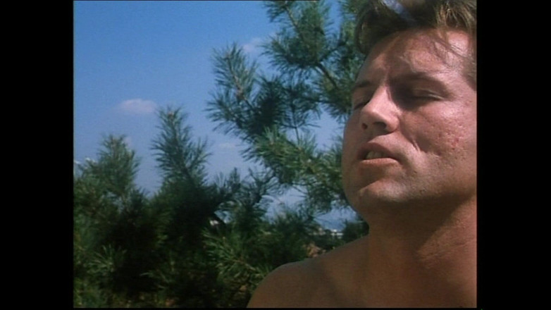 Hard Accademy: Vulgar Whimsical Pig (film)