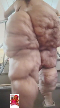 딤플 시티
