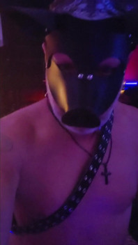 Gris Bigsexydaddyd gör Domkat Kat-licious skrika i nöje