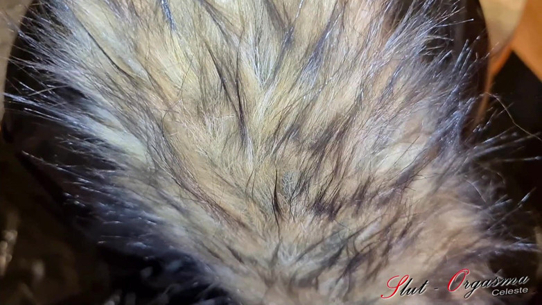 Slut Orgasma Celeste: Děvka-Orgasma Celeste, canine děvka miluje koňského ptáka