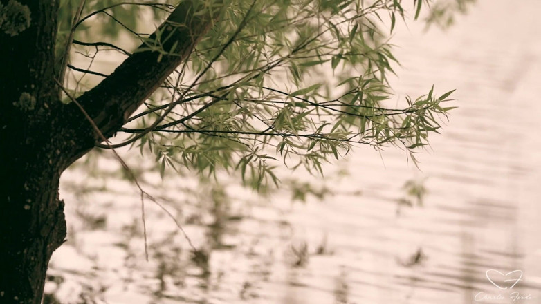 CharlieForde: Homeward Bound Parte 2: Seek Com Laney Day, Leo Embers, Mishel...