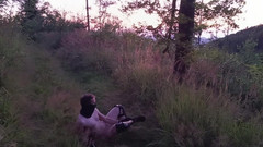 kickerscooter: За межами Wanker