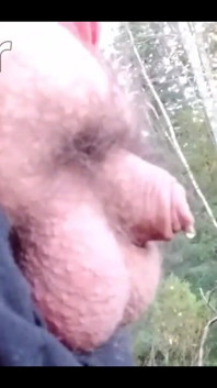 484118313627033600.mp4