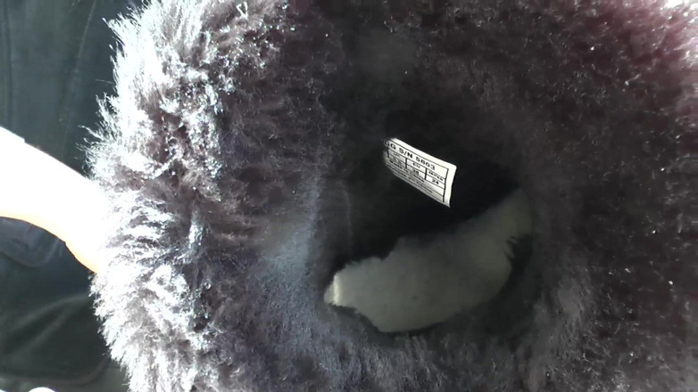 Lady Victoria Valente: फर जूते के अत्यधिक बदबूदार पैर! जूते गंध और पैर में, लेडी विक्टोरिया वैलेंटे