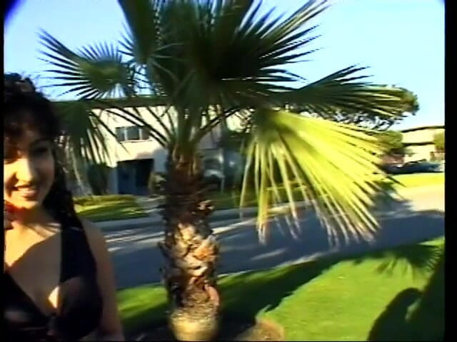 Hot Sex Party: Two hot cock dudes hardcore fucking a sexy brunette babe...