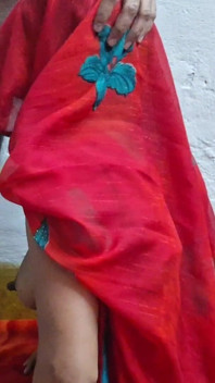 Red Saree - cunhada fode por cunhado