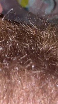 Brushing My Bush