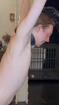 Ballbusting Związany Niewolnik w dużych butach
