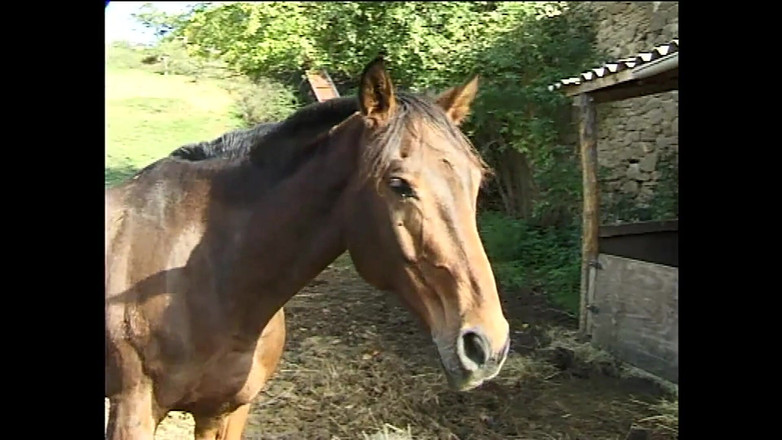 OLD Sinner: 两个荡妇在屁股上用力接受它