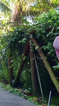 Risky Handjob for a Hot Babe in the Park!
