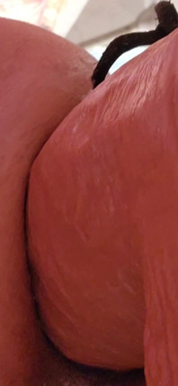 Huge Asspussy Gape with Help From 9.5 in. Circumference King Cock Chubby!