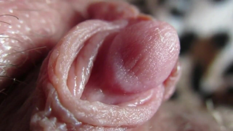 Cuteblonde666: Compilation di grandi clitoridi 2