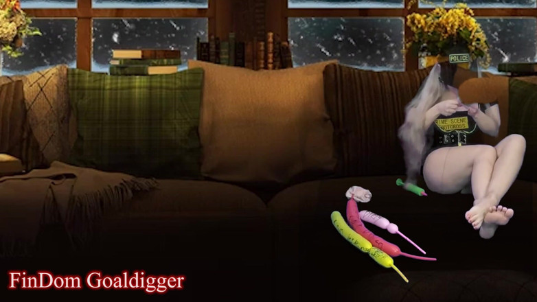 FinDom Goaldigger: Cyber CEI
