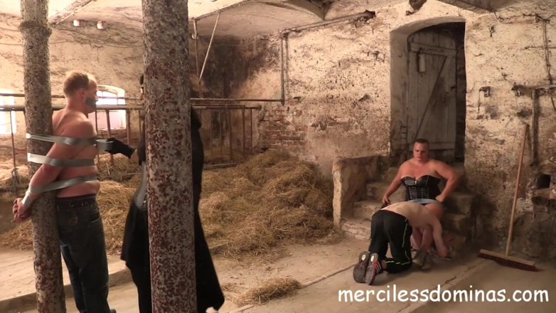 Merciless Dominas: Garçons de l'écurie