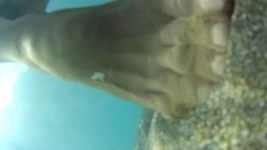 Mar de pantimedias desnuda