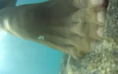 Nude Pantyhose Sea
