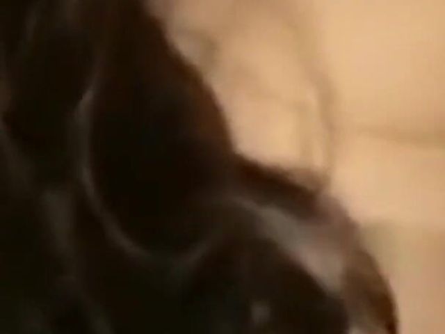 WildEnglishBBW riding BBC Nata4sex multi orgasms (Real homemade BBW BBC porn)